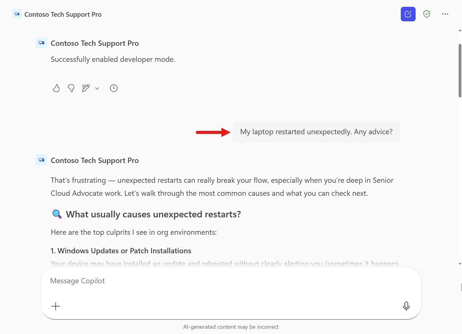 Developer mode에서 질문 입력 화면