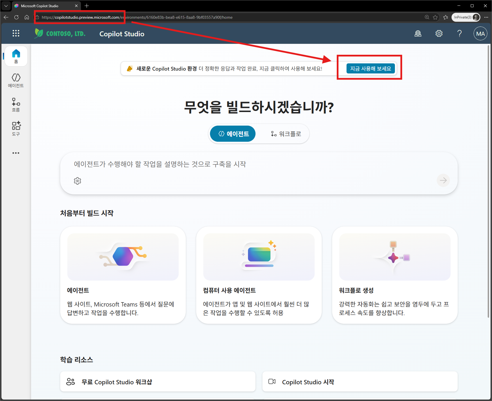 preview URL 접속 화면 / Try now 버튼 위치